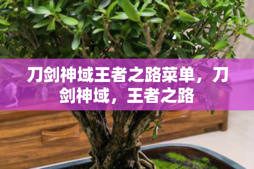 刀剑神域王者之路菜单，刀剑神域，王者之路