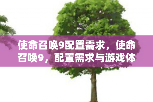 使命召唤9配置需求，使命召唤9，配置需求与游戏体验优化指南
