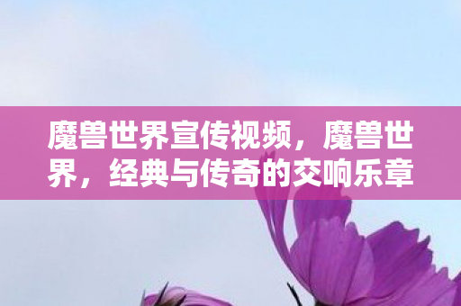 魔兽世界宣传视频，魔兽世界，经典与传奇的交响乐章