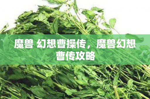 魔兽 幻想曹操传，魔兽幻想曹传攻略