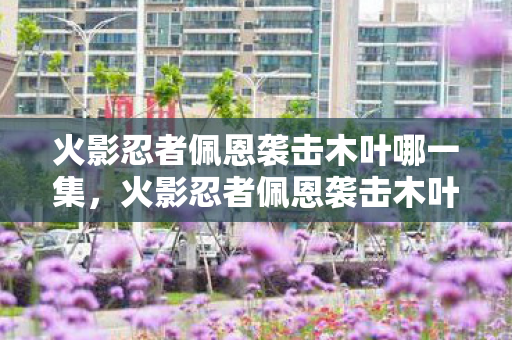 火影忍者佩恩袭击木叶哪一集,火影忍者佩恩袭击木叶是第几集? 火影忍者佩恩袭击木叶哪一集,火影忍者佩恩袭击木叶是第几集?