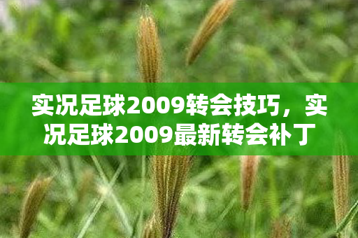 实况足球2009转会技巧，实况足球2009最新转会补丁，重塑绿茵场上的传奇