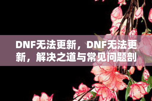 DNF无法更新,DNF无法更新,解决之道与常见问题剖析 DNF无法更新,DNF无法更新,解决之道与常见问题剖析
