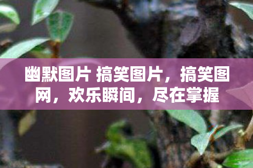 幽默图片 搞笑图片图片