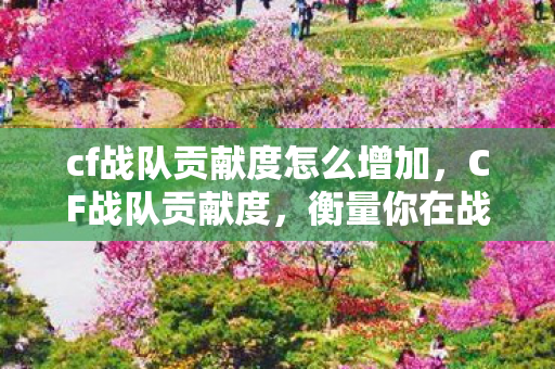 cf战队贡献度怎么增加，CF战队贡献度，衡量你在战队中的价值与贡献