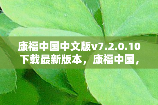 传承中华文化的精神之旅图片