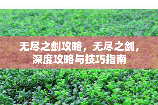 深度攻略与技巧指南图片