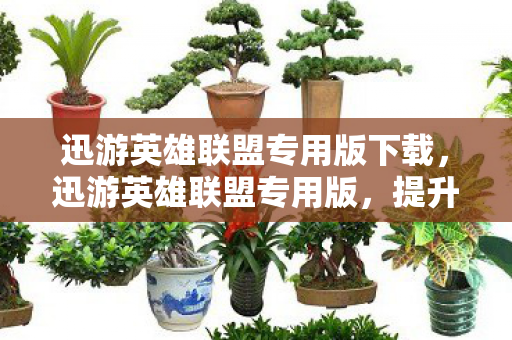 迅游英雄联盟专用版下载图片