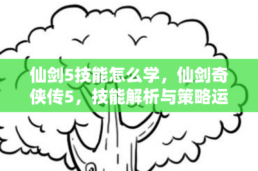 技能解析与策略运用图片