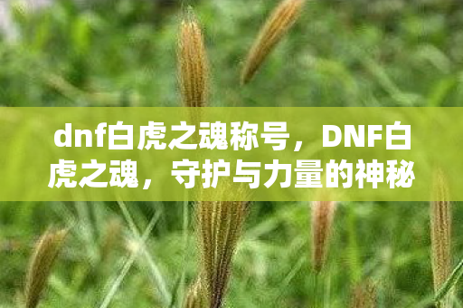 守护与力量的神秘象征图片