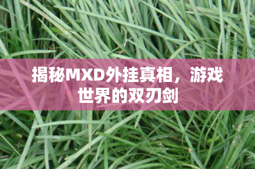 揭秘MXD外挂真相，游戏世界的双刃剑