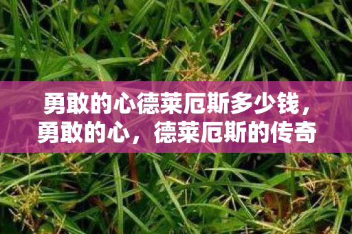 勇敢的心德莱厄斯多少钱图片