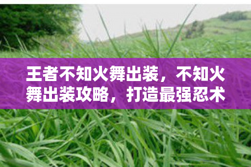 王者不知火舞出装图片