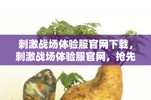 刺激战场体验服官网下载图片