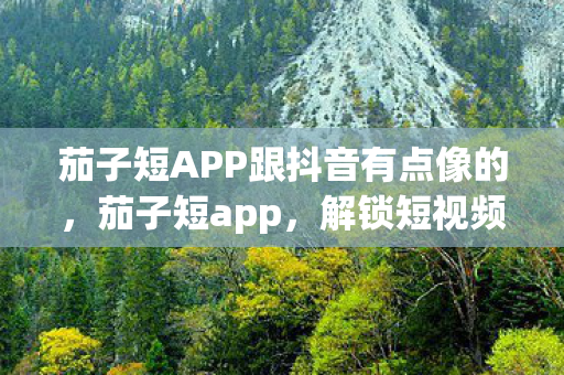 茄子短APP跟抖音有点像的图片
