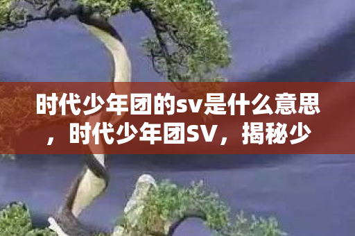 时代少年团的sv是什么意思图片