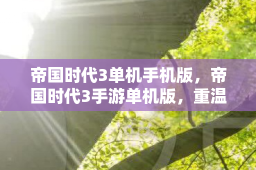 帝国时代3单机手机版图片