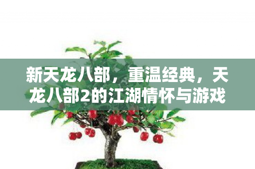 天龙八部2的江湖情怀与游戏文化图片