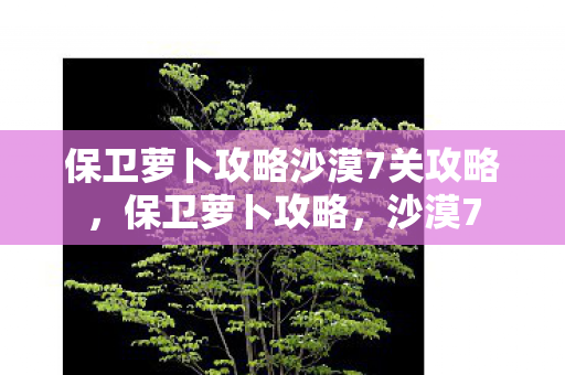 保卫萝卜攻略沙漠7关攻略图片