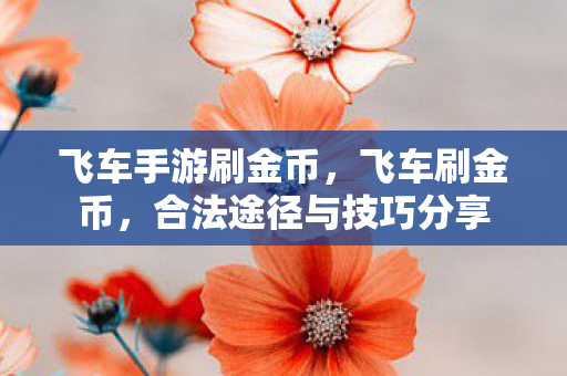 合法途径与技巧分享图片