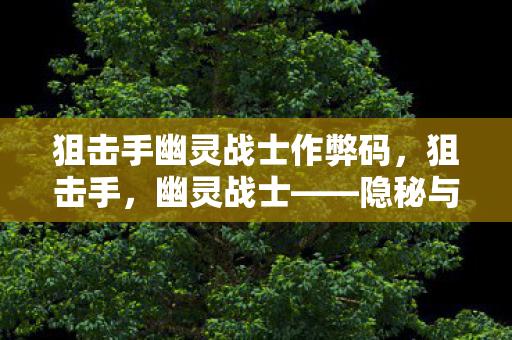 狙击手幽灵战士作弊码图片