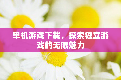 单机游戏下载，探索独立游戏的无限魅力