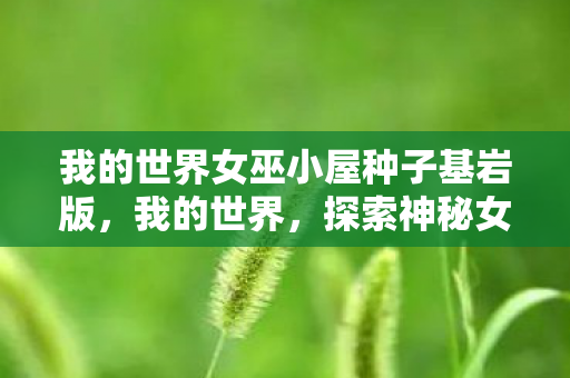 探索神秘女巫小屋的种子与建造指南图片