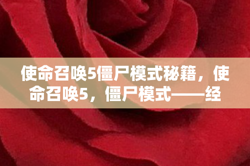 使命召唤5僵尸模式秘籍图片