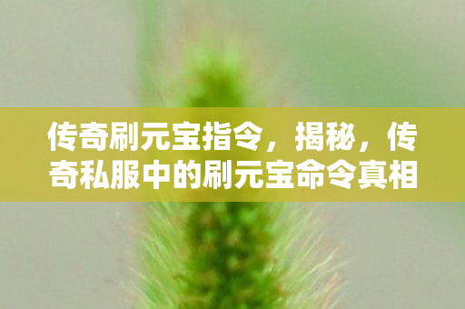 传奇私服中的刷元宝命令真相图片