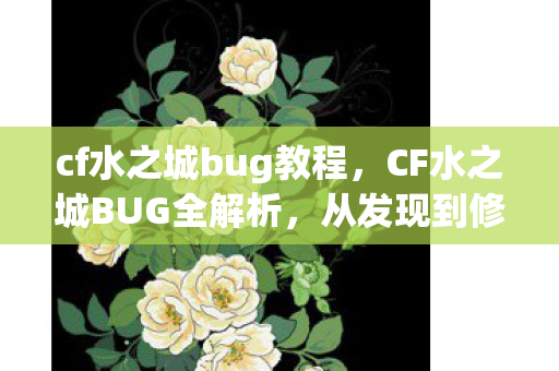 CF水之城BUG全解析图片