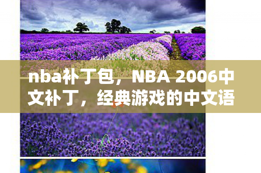 NBA 2006中文补丁图片