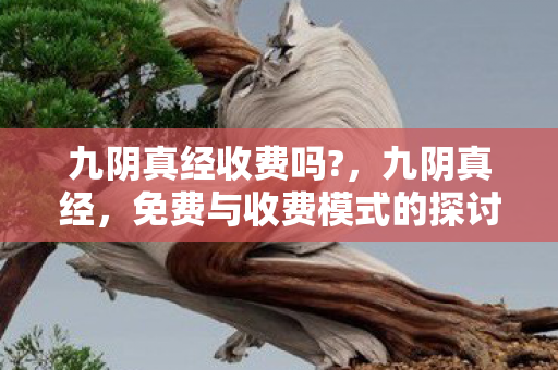 免费与收费模式的探讨图片