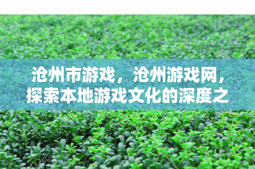 探索本地游戏文化的深度之旅图片