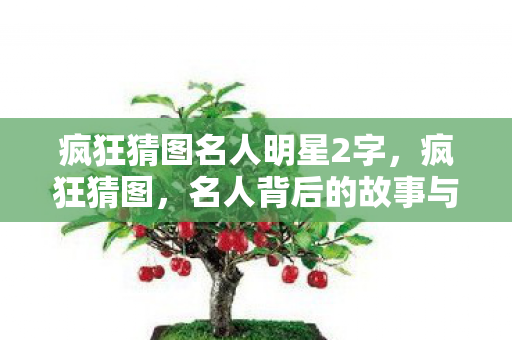 疯狂猜图名人明星2字图片