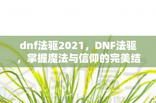 dnf法驱2021，DNF法驱，掌握魔法与信仰的完美结合