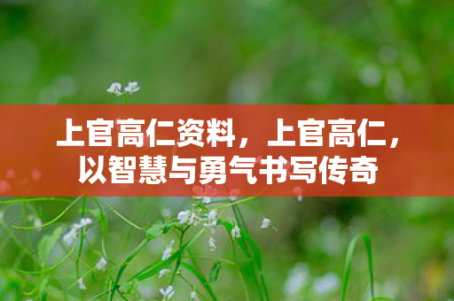 上官高仁资料,上官高仁,以智慧与勇气书写传奇 上官高仁资料,上官高仁,以智慧与勇气书写传奇