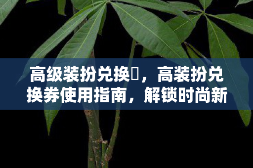 高装扮兑换券使用指南图片