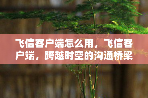 跨越时空的沟通桥梁图片