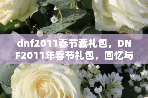 dnf2011春节套礼包图片
