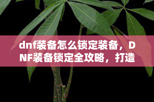 dnf装备怎么锁定装备图片