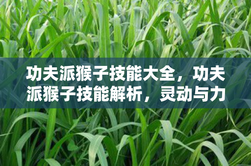 功夫派猴子技能大全，功夫派猴子技能解析，灵动与力量的完美结合