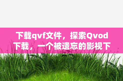 下载qvf文件，探索Qvod下载，一个被遗忘的影视下载神器