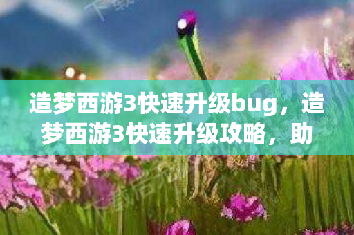 造梦西游3快速升级bug，造梦西游3快速升级攻略，助你飞速提升角色等级