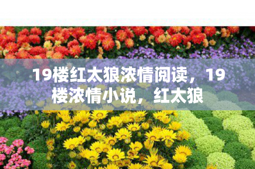 19楼红太狼浓情阅读，19楼浓情小说，红太狼