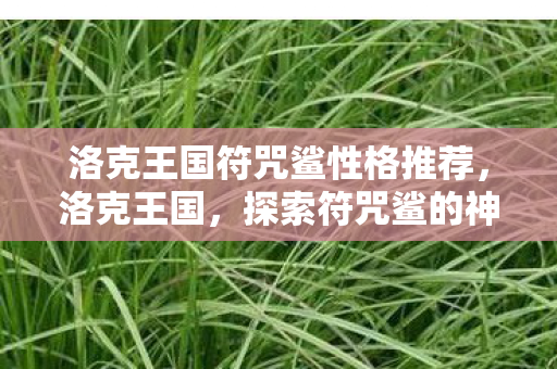 洛克王国符咒鲨性格推荐，洛克王国，探索符咒鲨的神秘世界