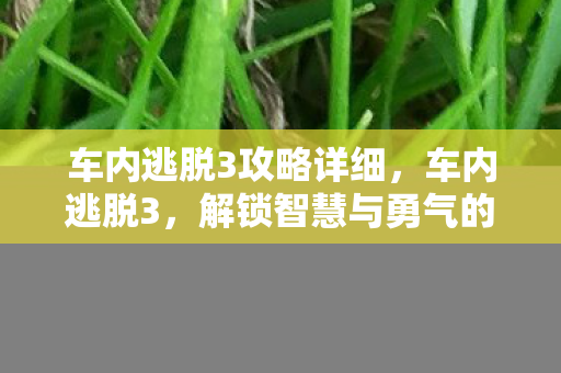 车内逃脱3攻略详细，车内逃脱3，解锁智慧与勇气的挑战