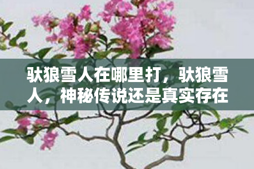 驮狼雪人在哪里打，驮狼雪人，神秘传说还是真实存在？