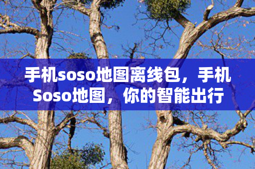 手机soso地图离线包，手机Soso地图，你的智能出行伴侣