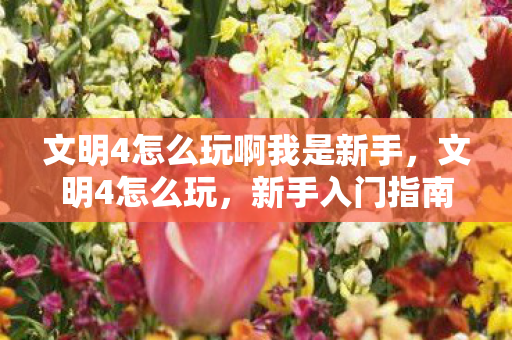 文明4怎么玩啊我是新手，文明4怎么玩，新手入门指南