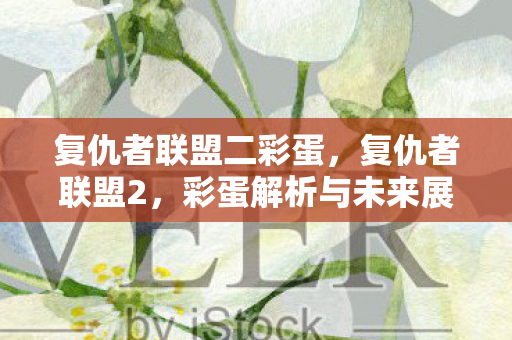 复仇者联盟二彩蛋，复仇者联盟2，彩蛋解析与未来展望